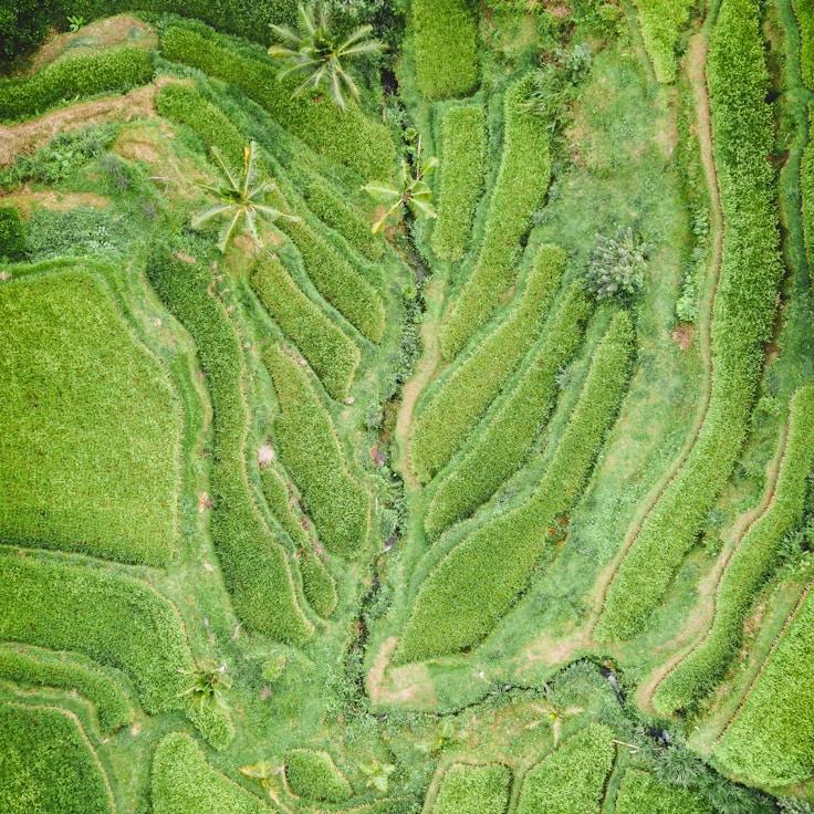 Entertainment zone at night in Germany